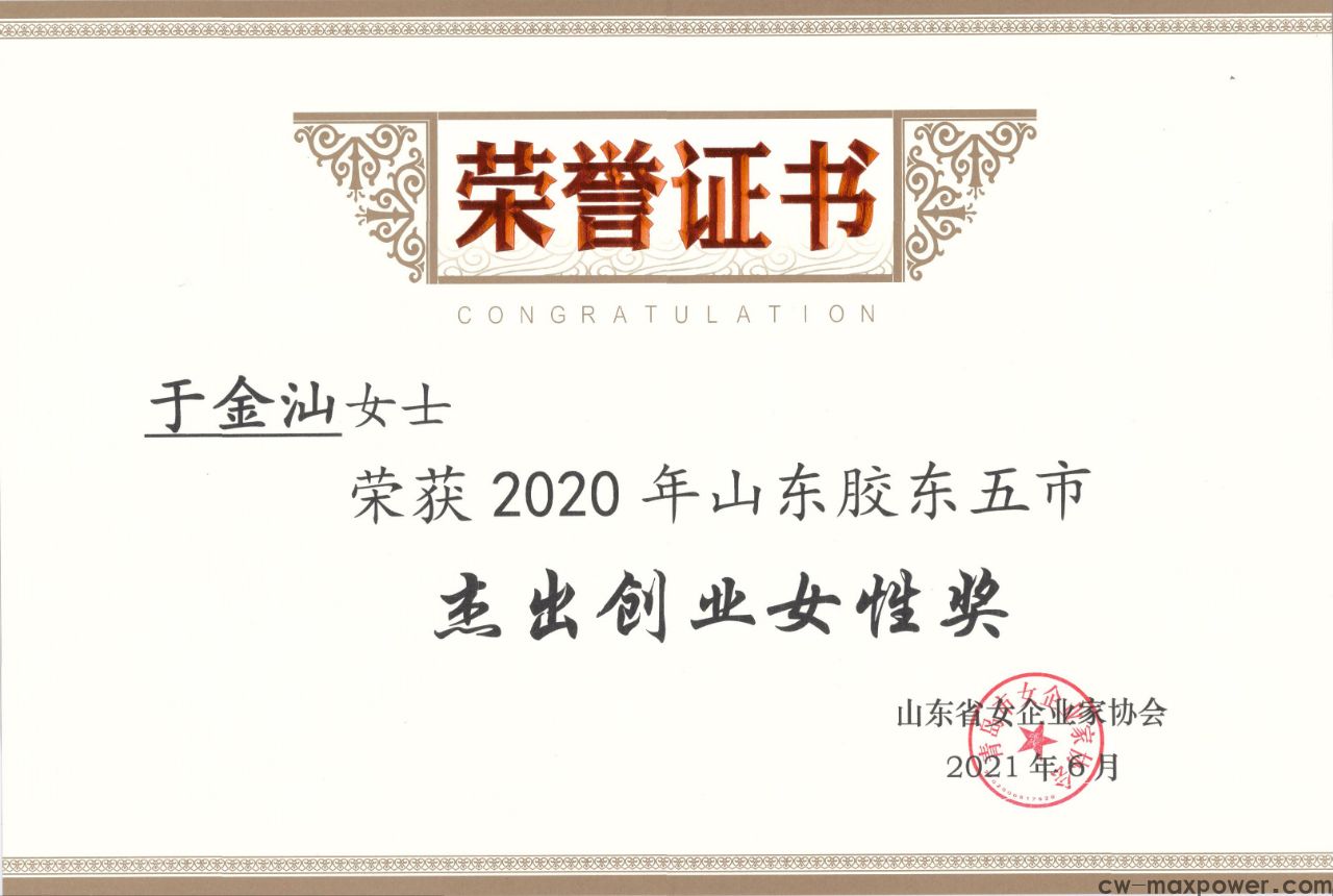 喜報！于金汕總經(jīng)理榮獲2020年山東膠東五市杰出創(chuàng)業(yè)女性獎(圖2)